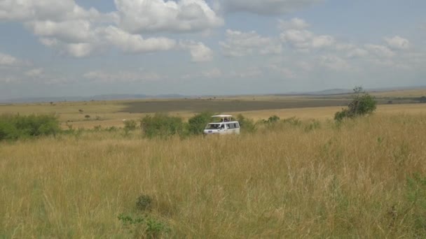 Džíp s turisty projíždět safari - Záběry, video