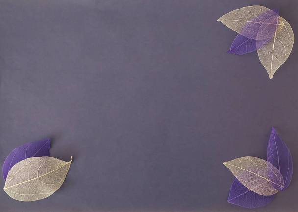 Фиолетовый со скелетами фиолетовых и белых листьев в углах. Вид сверху, плоский план, место для текста - Фото, изображение