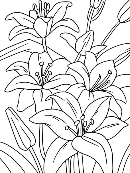 Zarys kwiatów lilii ręcznie rysowane ilustracji. Obraz dzieci kolorowanki, czarny udar, białe tło. Raster ilustracja - Zdjęcie, obraz