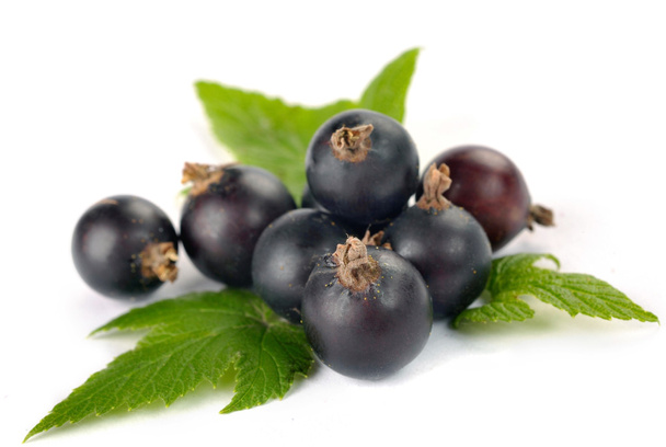 Black currants with leaves - Foto, afbeelding