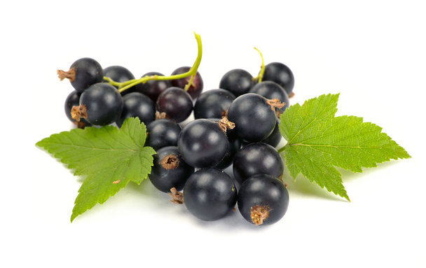 Black currants with leaves - Foto, Imagen