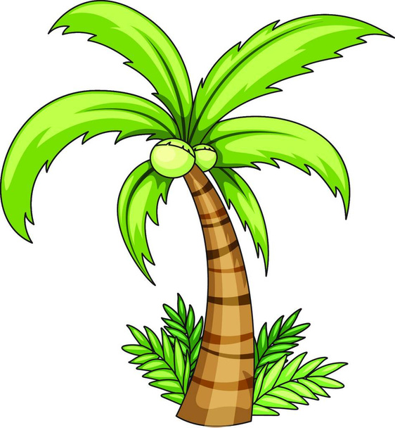 Vektorová ilustrace kokosové palmy - Vektor, obrázek