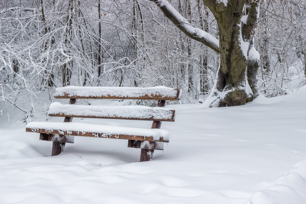 banco sentado de madeira coberto de neve no parque 3
 - Foto, Imagem