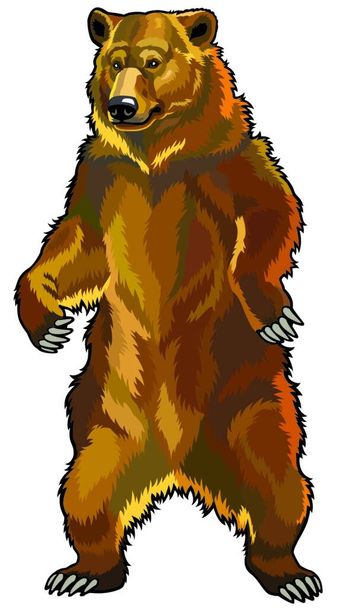 grizzly bear, web simple illustration - Vector, Image