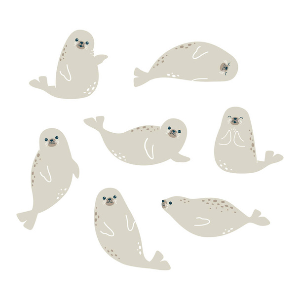 Vector illustration of cute seals - Vecteur, image