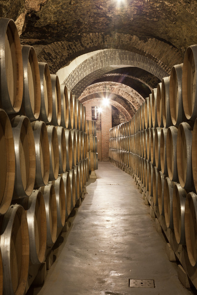 Old cellar with barrel of wine - Photo, Image