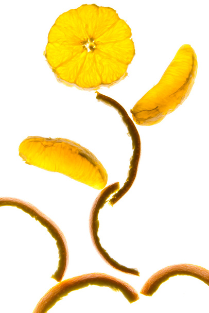 appelsiininviipaleista ja kuorista valmistettu kukka
 - Valokuva, kuva