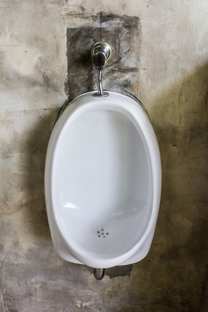 Камерный горшок, объект в туалете
 - Фото, изображение
