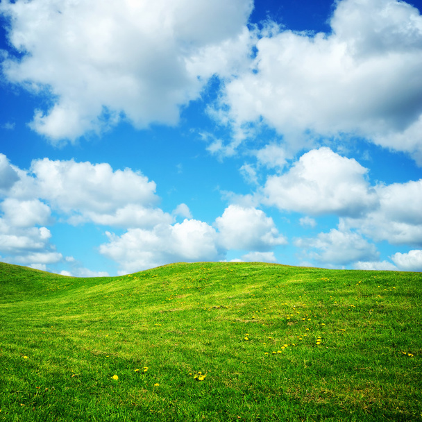 Green summer meadow and cloudy blue sky - Photo, Image