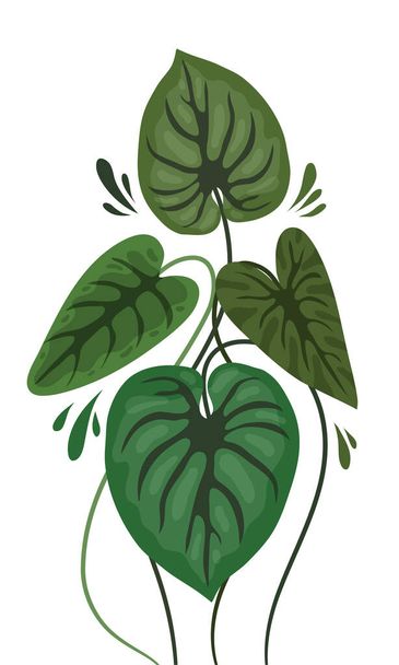 leaves plants illustration vector design - Vector, Imagen