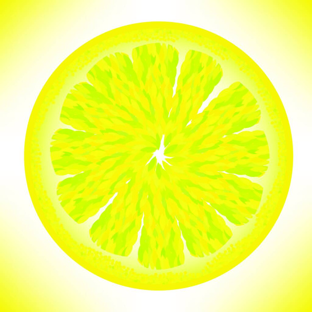 fresh organic lemon vector illustration    - Vektor, Bild