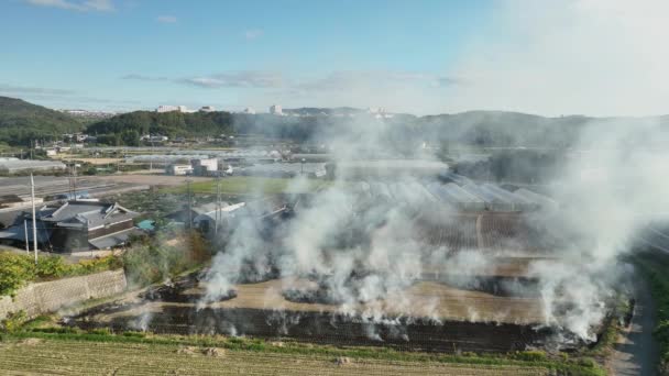 Rauch steigt nach der Ernte auf dem Land aus brennenden Reisfeldern auf. Hochwertiges 4k Filmmaterial - Filmmaterial, Video