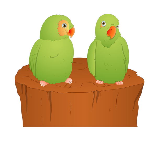 Uccelli pappagallo
 - Vettoriali, immagini