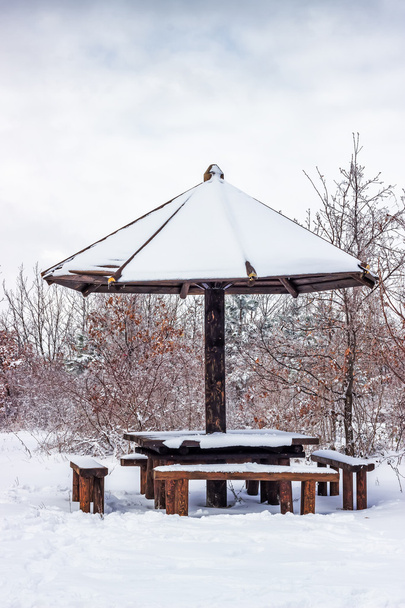 Puinen piknik pöytä puinen sateenvarjo talvella
 - Valokuva, kuva