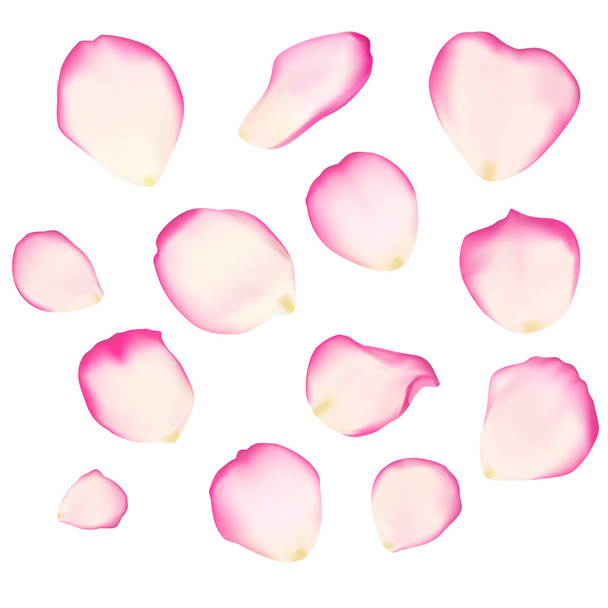 Set di petali di rosa luminosi
 - Vettoriali, immagini