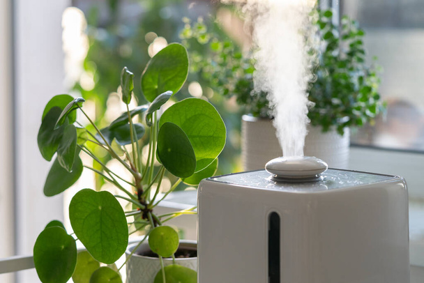 電気加湿器からの蒸気は、暖房の季節の間に屋内の観葉植物に囲まれた乾燥空気を湿らせます。ホームガーデン、趣味、植物ケア。加湿、快適な生活環境の概念.  - 写真・画像