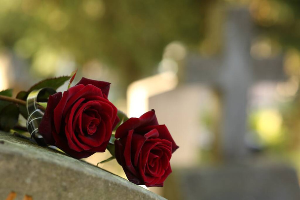 Red roses on grey tombstone outdoors on sunny day, space for text. Funeral ceremony - Foto, immagini