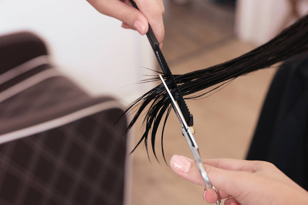 Professional hairdresser cutting woman's hair in beauty salon, closeup - Valokuva, kuva