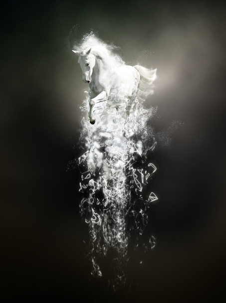 Caballo blanco corriendo, concepto animal abstracto sobre fondo negro
 - Foto, Imagen