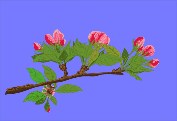 virágos ág - Vektor, kép