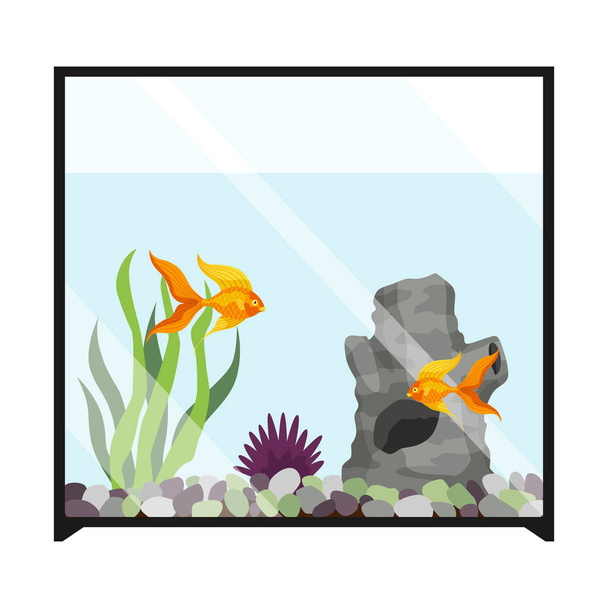 Realistic aquarium with fish and algae. Decoration aquaria kit with undersea castle, cute goldfish or algae. Aquarium bundle. Accessory for aquarium. - Vector, Image