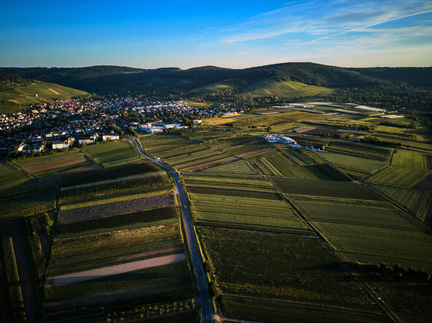 Alman köyü yakınlarındaki üzüm bağlarıyla yeşil tepelerin hava görüntüsü. - Fotoğraf, Görsel