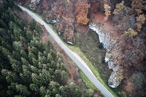 美しい秋の森林道路の空中ビュー。カラフルな風景と黄色の木と山道の詳細 - 写真・画像