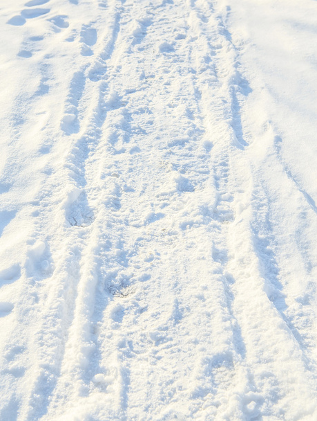 Neve branca com pegadas
 - Foto, Imagem