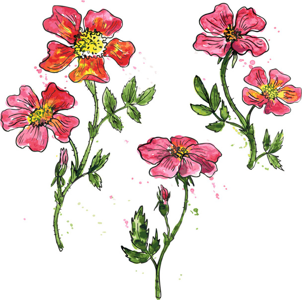 水彩ベクトル花セット - ベクター画像