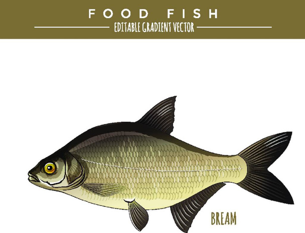 illustration of the Bream. Food Fish - Vector, Image