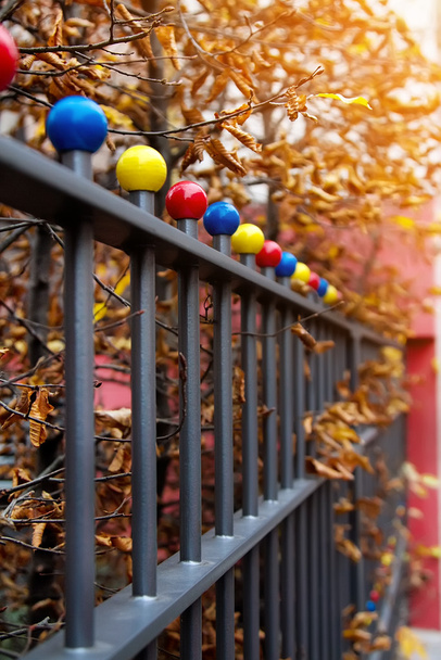 Осенняя сцена с железным забором
  - Фото, изображение