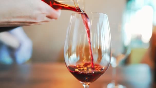Il vino di Sangria sta versando nel bicchiere di vino - Filmati, video