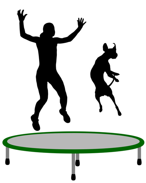 vrouw en hond trampoline - Foto, afbeelding