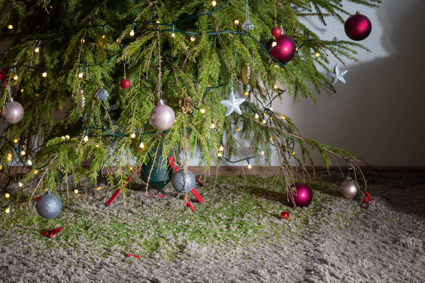 Arbre de Noël sec avec des pointes séchées sur tout le tapis. sapin mort et ornements laissés dans l'arbre. - Photo, image