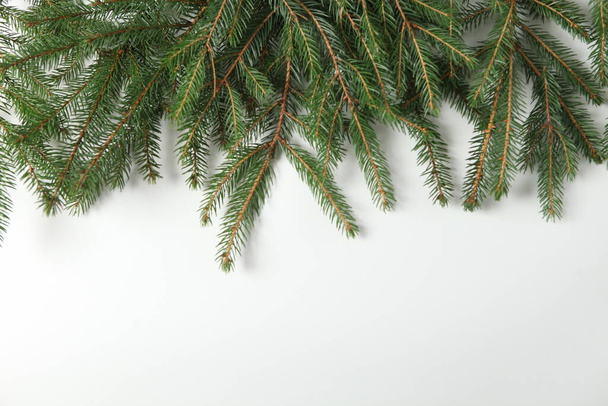 Dovolená přání nebo banner složení s borovicovými větvemi. Veselé Vánoce pozadí a šťastný nový rok 2023. - Fotografie, Obrázek