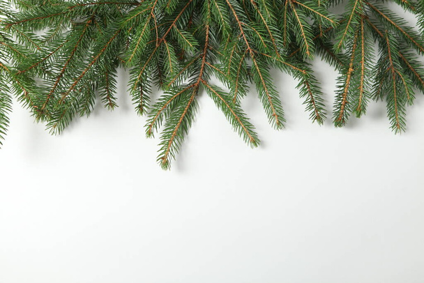 Поздравительная открытка или баннерная композиция с сосновыми ветвями. С Новым 2023 годом и Рождеством!. - Фото, изображение