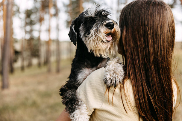 Genç esmer kadın kucağında minyatür bir schnauzer cinsi köpek tutuyor. - Fotoğraf, Görsel