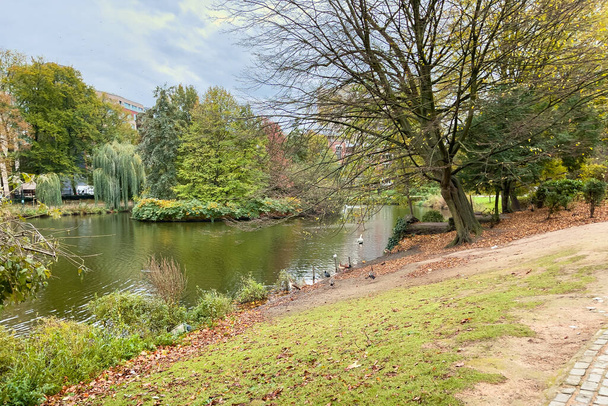 Leopold park with a pond during autumn season in Brussels - 写真・画像