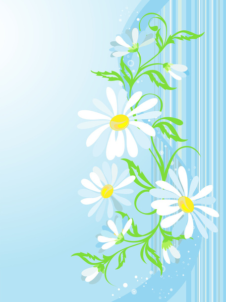 Vector floral background with camomiles - Vektor, Bild