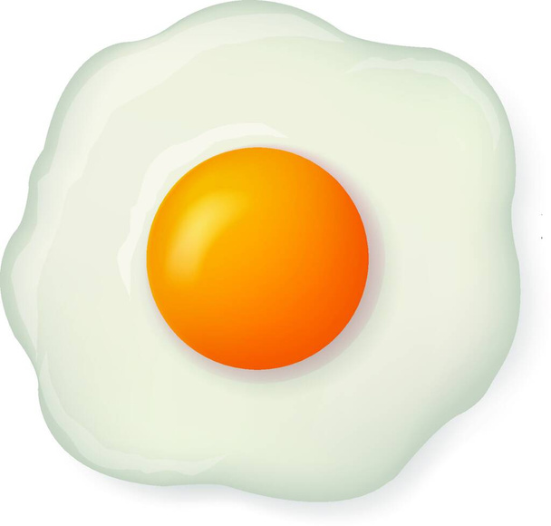 Fried Egg Isolated On White Background - Vector, Image