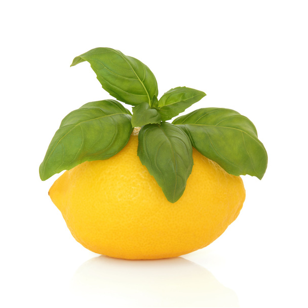 Lemon and Basil - 写真・画像