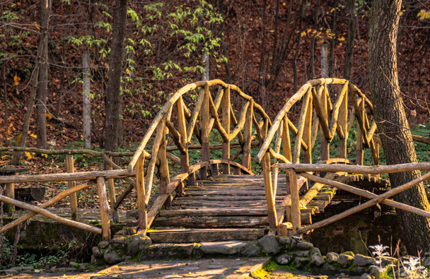 Ponte in legno nel vecchio parco autunnale - Foto, immagini