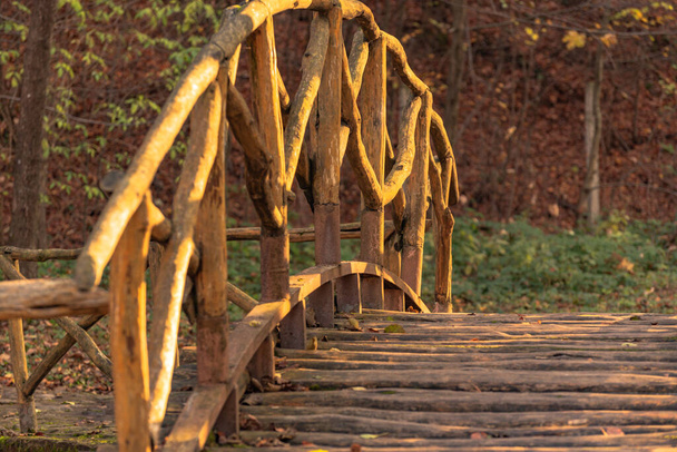 Деревянный мост в старом осеннем парке - Фото, изображение