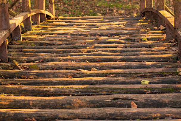 Wooden bridge in the old autumn park - Photo, Image