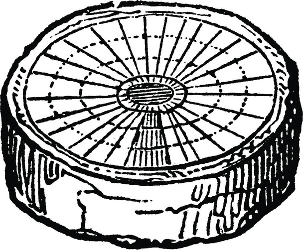 Екзоген чорно-білий вінтаж Векторні ілюстрації - Вектор, зображення