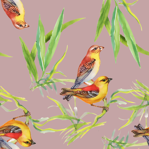 Pattern with wild exotic birds on the branch - Fotoğraf, Görsel