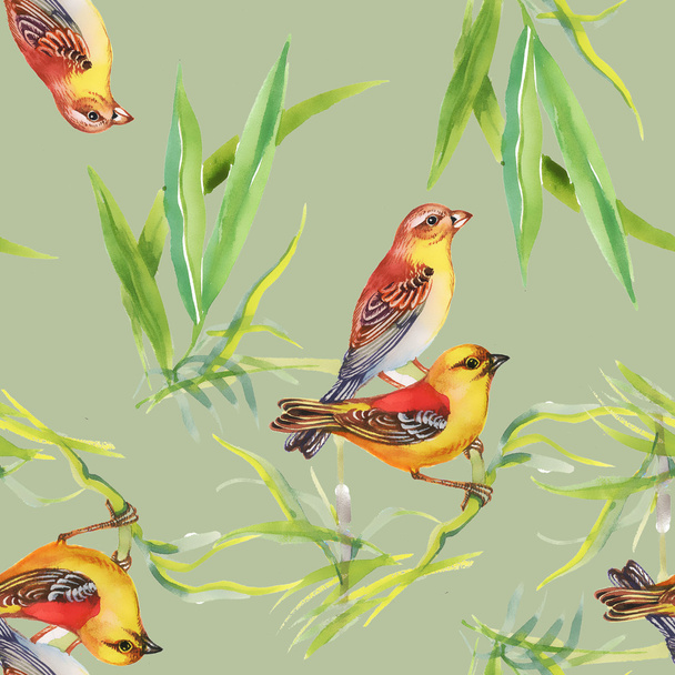 Pattern with wild exotic birds on the branch - Foto, afbeelding