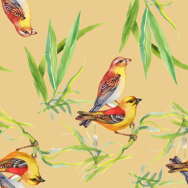 Pattern with wild exotic birds on the branch - Φωτογραφία, εικόνα