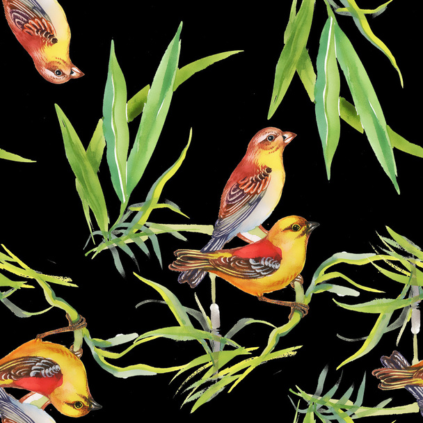 Pattern with wild exotic birds on the branch - Photo, image