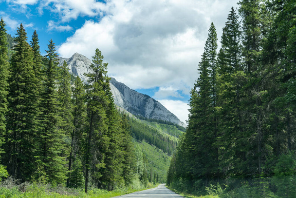 Bow Valley Parkway em Banff National Park durante o verão no Canadá - Foto, Imagem